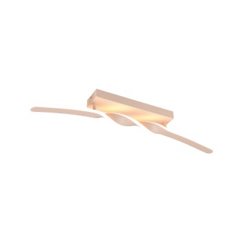 Illuminazione Reality Ginko Plafoniera LED Beige, 1-Luce