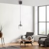 Illuminazione Paul Neuhaus Q-Kon Lampada a sospensione LED Marrone, 1-Luce, Telecomando