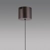 Illuminazione Paul Neuhaus Q-Kon Lampada a sospensione LED Marrone, 1-Luce, Telecomando