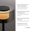 Illuminazione Paul Neuhaus Rika Lampada da tavolo LED Nero, 1-Luce