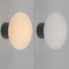 Illuminazione Paul Neuhaus Olaf Applique e plafoniera LED Grigio, 1-Luce