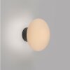 Illuminazione Paul Neuhaus Olaf Applique e plafoniera LED Grigio, 1-Luce