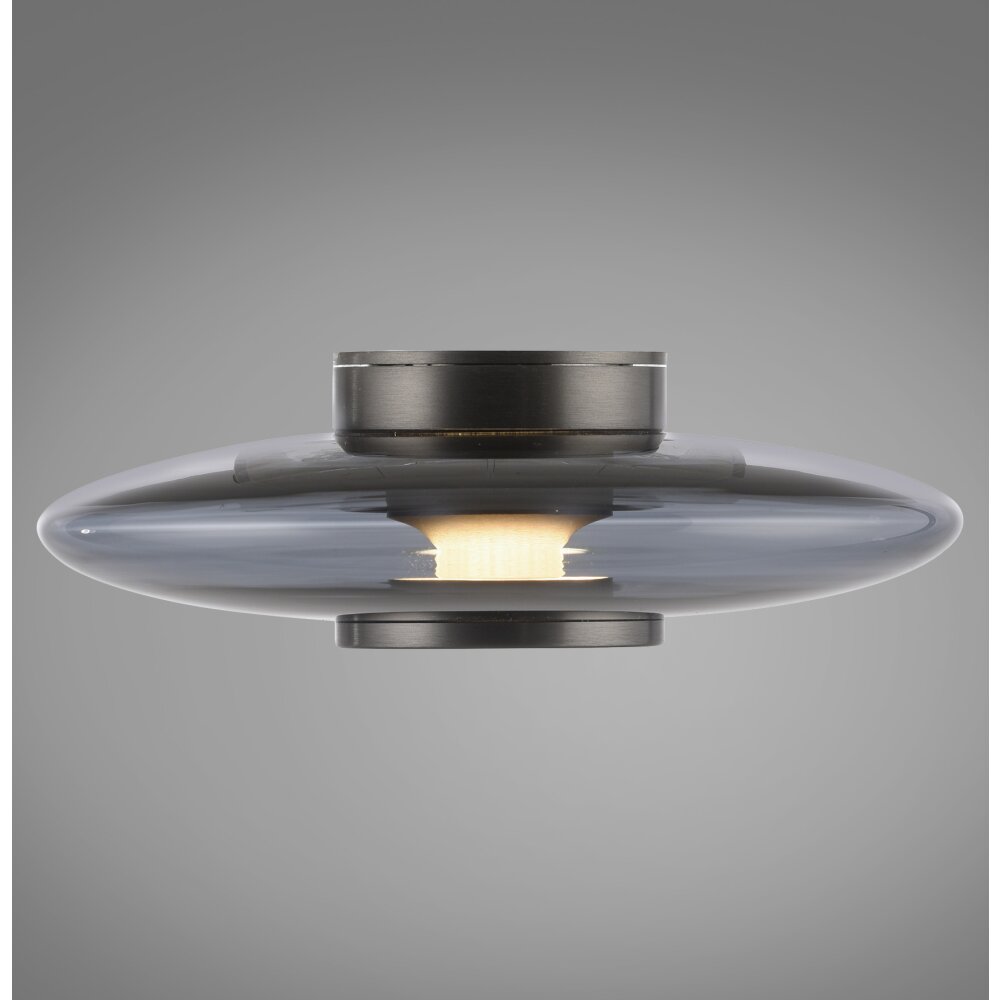 Illuminazione Paul Neuhaus Vitrum Applique e plafoniera LED Grigio, 1-Luce main product photo