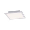 Plafoniera Paul Neuhaus Q-Flag LED Bianco, 1-Luce, Telecomando